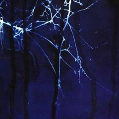 With My Eyes Wide Shut I Can See The Universe