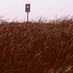 Field Tracker #90 - Autechre Part 1; May 11, 2014