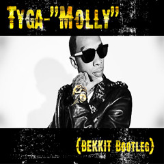 Tyga-Molly (feat. Wiz Khalifa, Mally Mall & Cedric Gervais)(Bekkit Bootleg)
