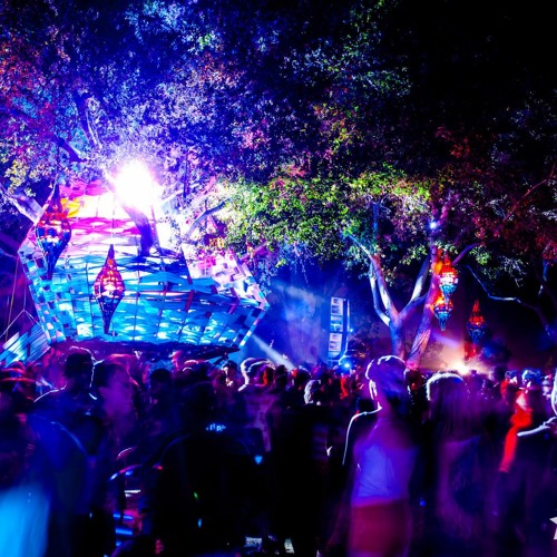All About That Woogie
