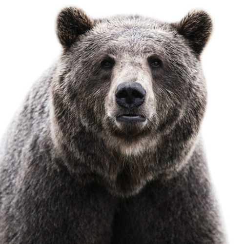 Whatshesaid - Heaven (Re Dupre Remix)