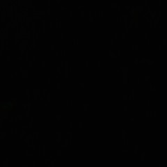 Chiraq Remix Lady Homi at S/O TO THE PLUG 412