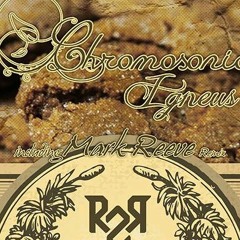 Chromosonic - Igneus (Mark Reeve Remix)