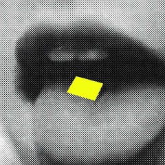 DVM