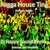 Artwork for Ragga House Ting (DJ Happy Sound rmx)Feat Ziondread - out now on beatport and junodownload