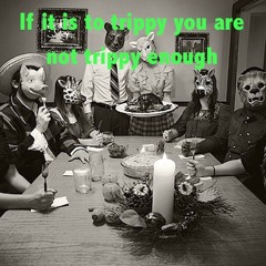 FreshOtis-Is it to trippy../FreeDownload