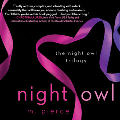 Night Owl erotic audiobook excerpt