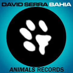 David Serra - Bahía (Original Mix) Teaser