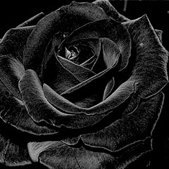 ToDestroySomethingBeautiful - This Is How I Fall In Love