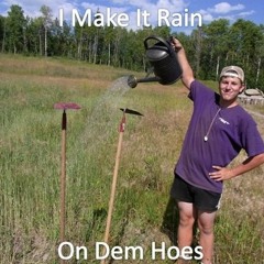 Ho Money