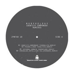 Morphology - "Integral Domain" (Hardfloor Remix) - snippet