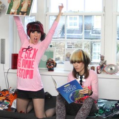 Robots in Disguise - The Dub Has Made Me Stupid (DiscoSexExtendoMix)