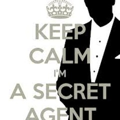 Secret Agent Set Pattern 2 Sneak Preview