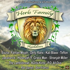 Fantan Mojah - Roots & Culture [Herb Family Riddim |More Life Productions &  VIS Records 2014]