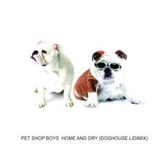 PetShopBoys - Home And Dry (DogHouse Lidimix)