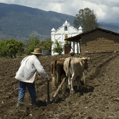 Ñaupa Yaya Mamakuna