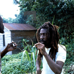 BUNNY WAILER Tribute To Bob Marley 2013