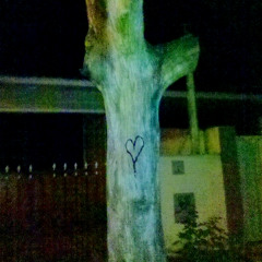 for you.