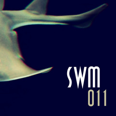SWM011 - Lars Wickinger - Dancers Vendetta (Original)