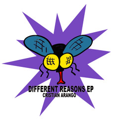 Cristian Arango - Different Reasons Original Mix Preview