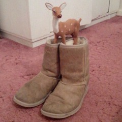 Little start at North pole