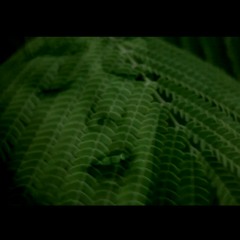 Broken Hearted Love Song- The Shoe (Full Version)