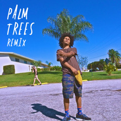 Palm Trees (Flatbush Zombie Remix) 🌴