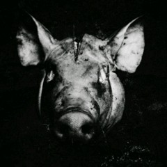 New slaughterhouse. Struggle