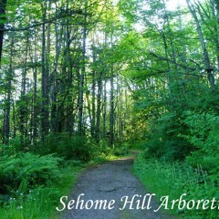 The History of Sehome Hill Arboretum