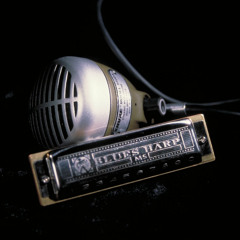 My Babe - The MoonShiners