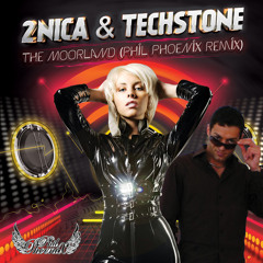 2NICA & Techstone - The Moorland (Phil Phoenix Remix) Preview