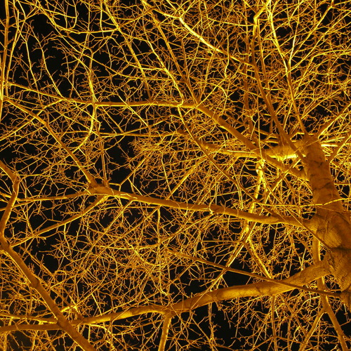 "…wash yourself of yourself" (2009-10)