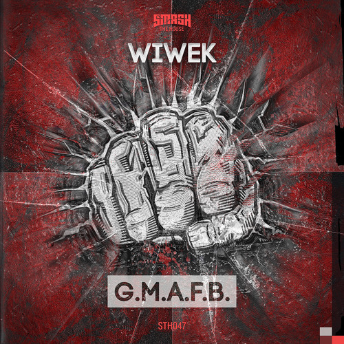 Wiwek - G.M.A.F.B. OUT NOW Smash the House