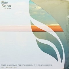 Matt Bukovski, Geert Huinink - Fields Of Forever (Original Mix)