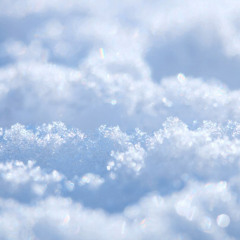 Fall In Flakes