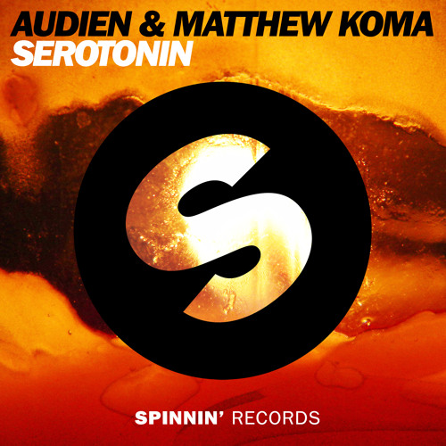 Audien & Matthew Koma - Serotonin [OUT NOW] (Danny Howard rip)