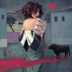 Alena Toymintseva ft. FUNKFORMER for Vardoui Nazarian - Little Bird (demo)