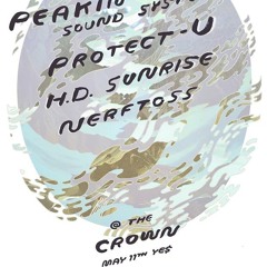 Protect-U Live in Baltimore 5-11-14