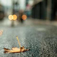 First Rain Of Autumn(Soundtrack Suite)