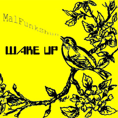Wake Up - DJ MalFunkShun
