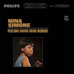 Nina Simon - Feeling Good (dgd Remix)