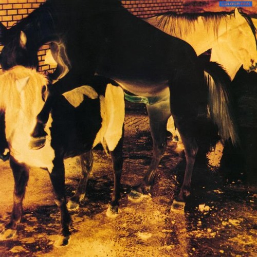 Exclusive: Colourbox - Justice (Pre-Mastered Cover Version)