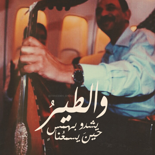 والطير يشدو بهمسٍ حينَ يسمعُنا . .
