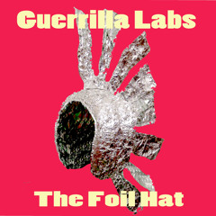 The Foil Hat by Guerrilla Labs