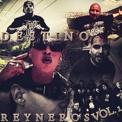 Destino - Soldados del Reyno 18-19 "REYNEROS VOL. 1"