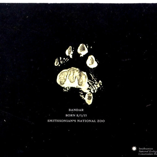 "The Endangered Song" by Portugal. The Man (Q Department Digitized Edition)