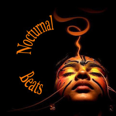 Nocturnal Beats