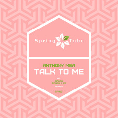 Anthony Mea - Talk To Me (addex rmx)