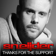 Too Many Artists - Raging Swamp (Sneijder Mashup)[FREE DOWNLOAD]