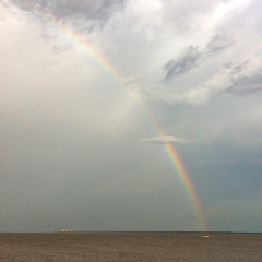 Involuntary Expression